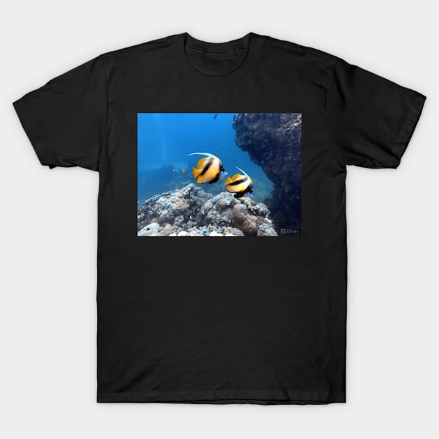 Angelfish T-Shirt by likbatonboot